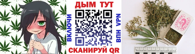 Где продают наркотики Новоалтайск Каннабис  Галлюциногенные грибы  ГАШИШ  Меф мяу мяу  СК  АМФЕТАМИН 