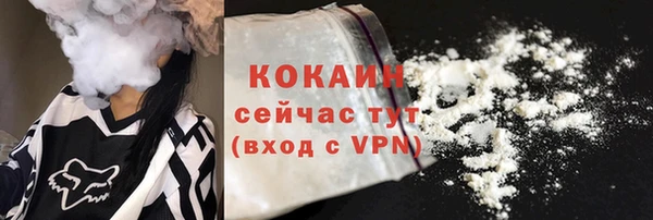 дмт Абаза