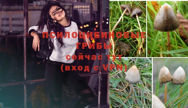 экстази Абинск