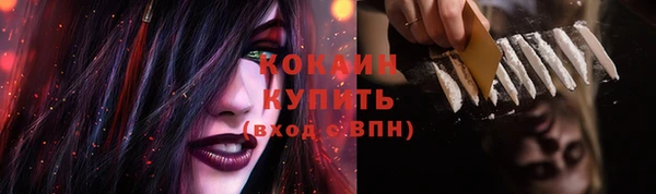 дмт Абаза