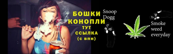 дмт Абаза