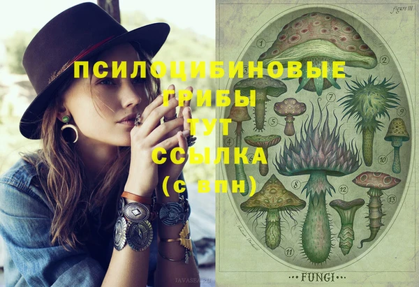 PSILOCYBIN Алзамай