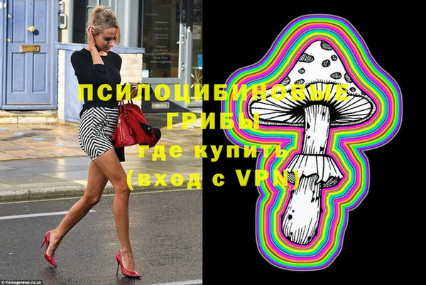 дмт Абаза
