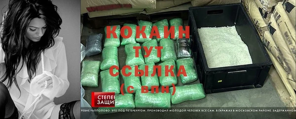 PSILOCYBIN Алзамай