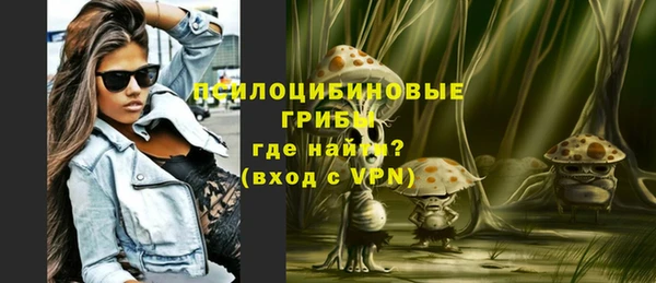 дмт Абаза