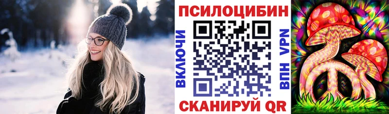 Псилоцибиновые грибы Psilocybe  наркотики  Новоалтайск 